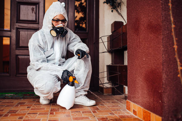 Reliable Cockroach Control contractor in Springerville, AZ by Nex Pest Control